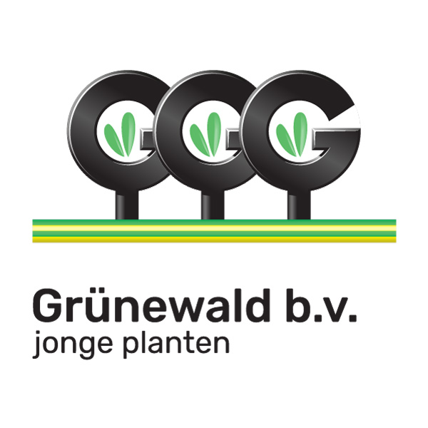 (c) Ggg-gruenewald.com